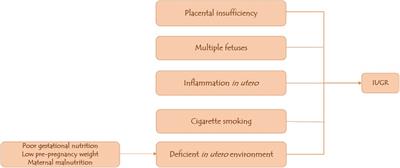 Therapeutic advances in overcoming intrauterine growth restriction induced metabolic syndrome